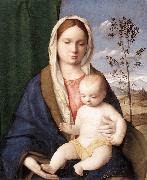 Madonna and Child mmmnh, BELLINI, Giovanni